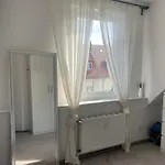 Executive Maisonette Penthouse Loft, Rooftop Pool, Central Hannover And Direct Messe Connection