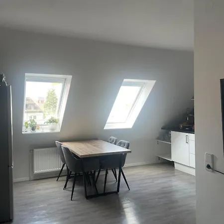 Executive Maisonette Penthouse Loft, Rooftop Pool, Central Hannover And Direct Messe Connection Hannover