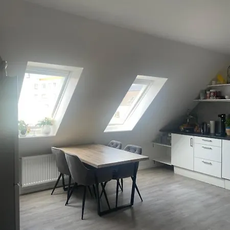 Executive Maisonette Penthouse Loft, Rooftop Pool, Central Hannover And Direct Messe Connection Hannover