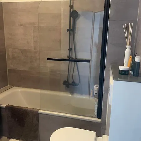 Executive Maisonette Penthouse Loft, Rooftop Pool, Central Hannover And Direct Messe Connection