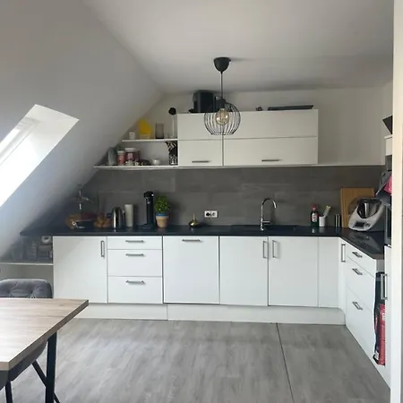 Apartment Executive Maisonette Penthouse Loft, Rooftop Pool, Central Hannover And Direct Messe Connection